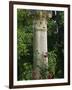 Andalucia, Seville, A Classical Column Surrounded by Roses in Gardens of Alcazar Palace, Spain-John Warburton-lee-Framed Photographic Print