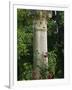 Andalucia, Seville, A Classical Column Surrounded by Roses in Gardens of Alcazar Palace, Spain-John Warburton-lee-Framed Photographic Print