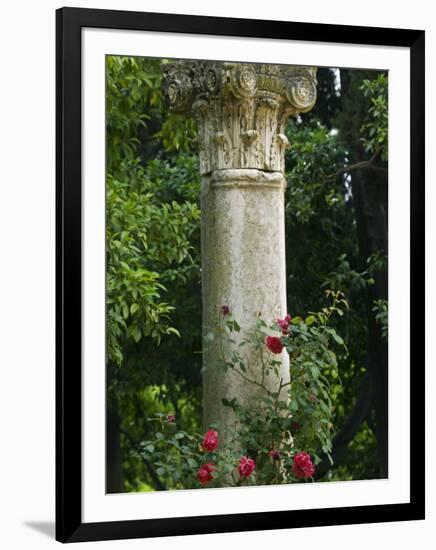 Andalucia, Seville, A Classical Column Surrounded by Roses in Gardens of Alcazar Palace, Spain-John Warburton-lee-Framed Photographic Print