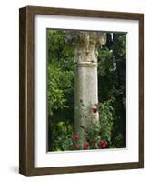 Andalucia, Seville, A Classical Column Surrounded by Roses in Gardens of Alcazar Palace, Spain-John Warburton-lee-Framed Photographic Print