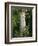 Andalucia, Seville, A Classical Column Surrounded by Roses in Gardens of Alcazar Palace, Spain-John Warburton-lee-Framed Photographic Print