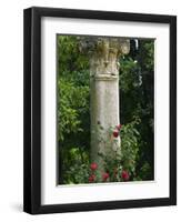 Andalucia, Seville, A Classical Column Surrounded by Roses in Gardens of Alcazar Palace, Spain-John Warburton-lee-Framed Photographic Print