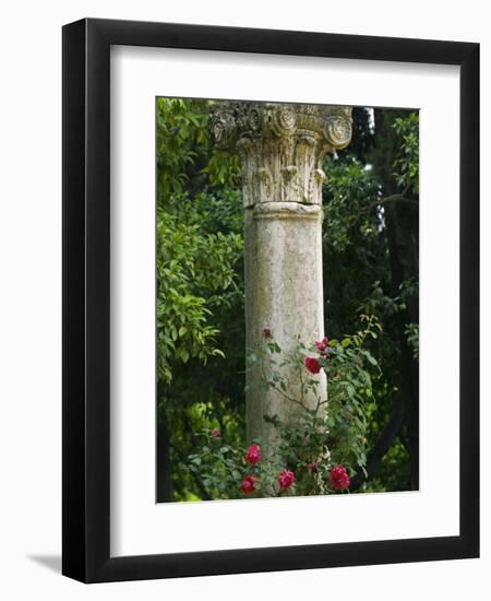 Andalucia, Seville, A Classical Column Surrounded by Roses in Gardens of Alcazar Palace, Spain-John Warburton-lee-Framed Photographic Print