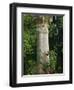 Andalucia, Seville, A Classical Column Surrounded by Roses in Gardens of Alcazar Palace, Spain-John Warburton-lee-Framed Photographic Print