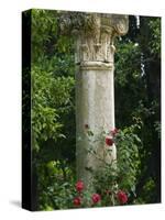 Andalucia, Seville, A Classical Column Surrounded by Roses in Gardens of Alcazar Palace, Spain-John Warburton-lee-Stretched Canvas