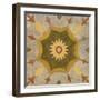 Andalucia Tiles G Color-Silvia Vassileva-Framed Art Print