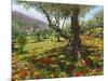 Andalucian Olive Grove-Richard Harpum-Mounted Art Print