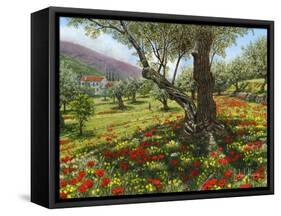 Andalucian Olive Grove-Richard Harpum-Framed Stretched Canvas