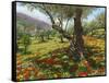 Andalucian Olive Grove-Richard Harpum-Framed Stretched Canvas