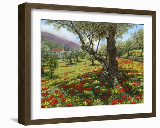 Andalucian Olive Grove-Richard Harpum-Framed Art Print