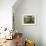 Andalucian Olive Grove-Richard Harpum-Framed Art Print displayed on a wall