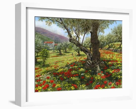 Andalucian Olive Grove-Richard Harpum-Framed Art Print