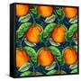 Andalucian Oranges, 2017-Andrew Watson-Framed Stretched Canvas