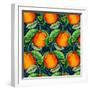 Andalucian Oranges, 2017-Andrew Watson-Framed Premium Giclee Print