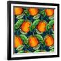 Andalucian Oranges, 2017-Andrew Watson-Framed Giclee Print