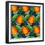 Andalucian Oranges, 2017-Andrew Watson-Framed Giclee Print