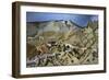 Andalusia-Piers Ottey-Framed Giclee Print