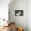 Andalusian 003-Bob Langrish-Framed Stretched Canvas displayed on a wall