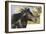 Andalusian 011-Bob Langrish-Framed Photographic Print