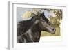 Andalusian 011-Bob Langrish-Framed Photographic Print