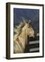 Andalusian 016-Bob Langrish-Framed Photographic Print