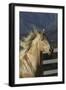 Andalusian 016-Bob Langrish-Framed Photographic Print