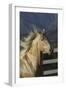 Andalusian 016-Bob Langrish-Framed Photographic Print