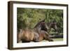 Andalusian 048-Bob Langrish-Framed Photographic Print