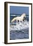 Andalusian Sea-Bob Langrish-Framed Photographic Print