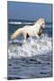 Andalusian Sea-Bob Langrish-Mounted Photographic Print