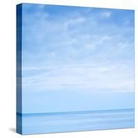 Andante-Doug Chinnery-Stretched Canvas