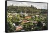 Andasibe Town, Eastern Madagascar, Africa-Matthew Williams-Ellis-Framed Stretched Canvas