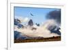 Andean condor soaring above the Three Towers rock formation-Nick Garbutt-Framed Photographic Print