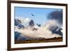 Andean condor soaring above the Three Towers rock formation-Nick Garbutt-Framed Photographic Print