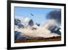 Andean condor soaring above the Three Towers rock formation-Nick Garbutt-Framed Photographic Print