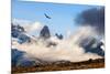 Andean condor soaring above the Three Towers rock formation-Nick Garbutt-Mounted Photographic Print