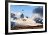 Andean condor soaring above the Three Towers rock formation-Nick Garbutt-Framed Photographic Print