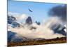 Andean condor soaring above the Three Towers rock formation-Nick Garbutt-Mounted Photographic Print