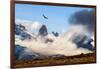 Andean condor soaring above the Three Towers rock formation-Nick Garbutt-Framed Photographic Print