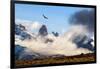 Andean condor soaring above the Three Towers rock formation-Nick Garbutt-Framed Photographic Print