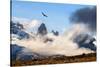 Andean condor soaring above the Three Towers rock formation-Nick Garbutt-Stretched Canvas
