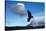 Andean Condor (Vultur Gryphus) Flying over Torres Del Paine National Park, Chilean Patagonia, Chile-G & M Therin-Weise-Stretched Canvas