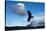 Andean Condor (Vultur Gryphus) Flying over Torres Del Paine National Park, Chilean Patagonia, Chile-G & M Therin-Weise-Stretched Canvas