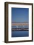 Andean Flamingoes at Laguna De Chaxa (Chaxa Lake), San Pedro, Chile, South America-Kimberly Walker-Framed Photographic Print