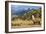 Andean Llama-chrishowey-Framed Photographic Print