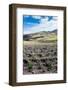 Andean vegetation, Ecuador, South America-Alexandre Rotenberg-Framed Photographic Print