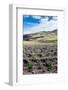 Andean vegetation, Ecuador, South America-Alexandre Rotenberg-Framed Photographic Print