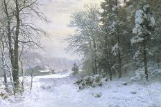 Homeward Bound-Anders Andersen-Lundby-Stretched Canvas