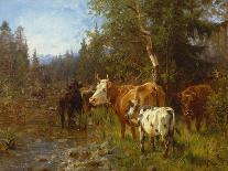 Cows by the water post-Anders Askevold-Giclee Print