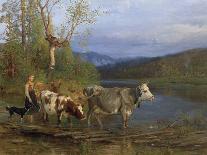Cows by the water post-Anders Askevold-Giclee Print